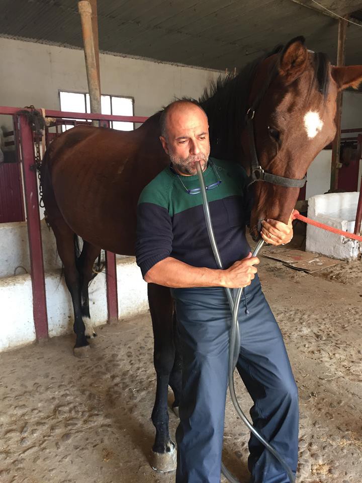 Veterinario de caballos Jose Ramón Martín Santiago atendiendo un cólico equino
