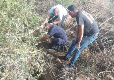 Sedamos al animal para evitar el estrés