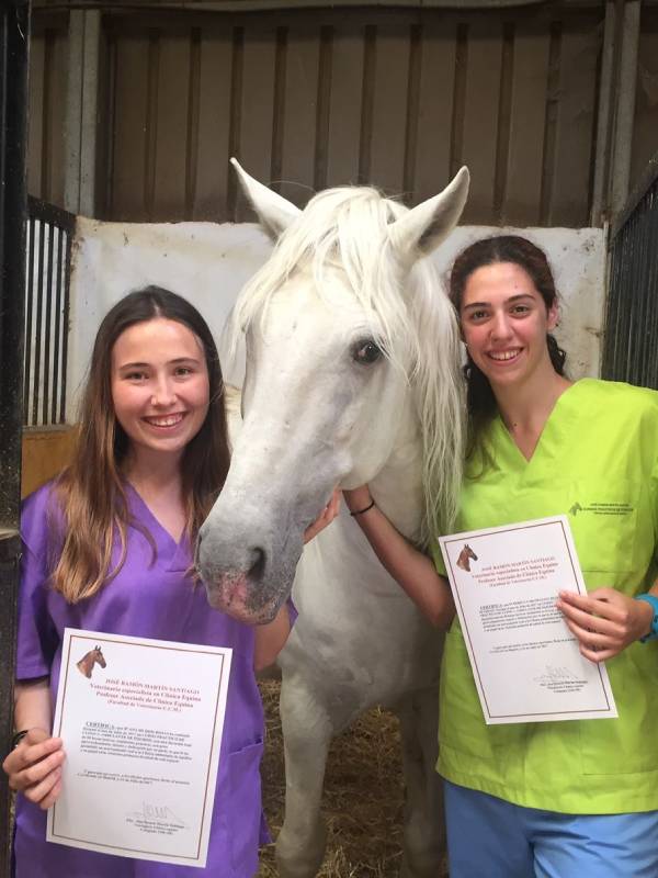 Opiniones de los alumnos de los cursos de formación para veterinarios equinos
